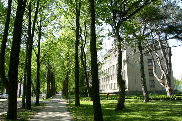 За комфортним навчанням й актуальними знаннями – в Уманський НУС
