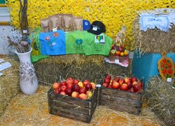 Аукціон заради Перемоги