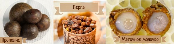 Бджоляр – солодка професія, кропітка праця, натхненна радість
