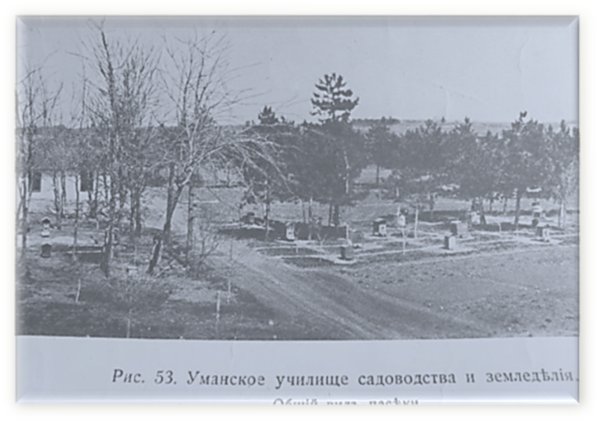 Загальний вигляд пасіки