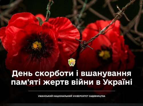 День скорботи і вшанування пам'яті жертв війни в Україні