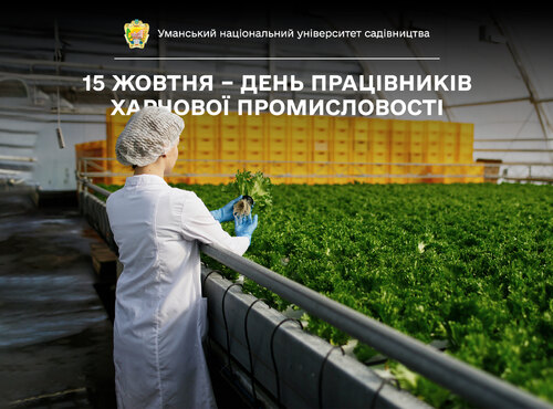 Талант та смак на варті продовольчої безпеки: вітаємо з Днем працівників харчової промисловості