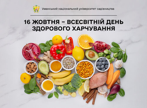 Життя у ритмі здорового харчування