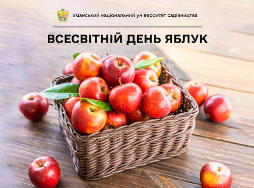 Яблука: від естетичної краси до здоров’я нації