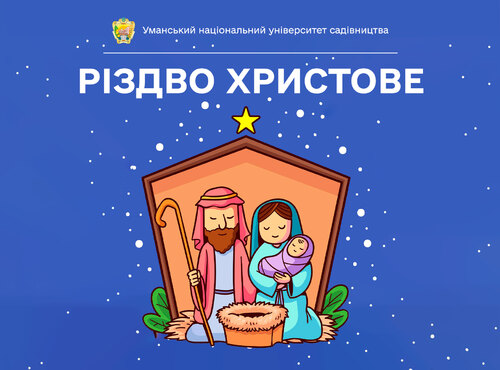 Різдво – свято добра та любові
