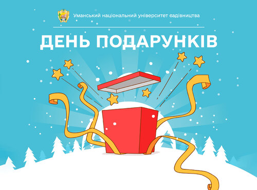 Різдвяні подарунки, що приносять щастя