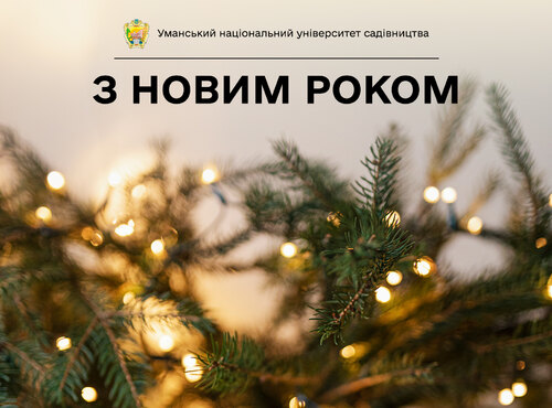 На старті Нового року!