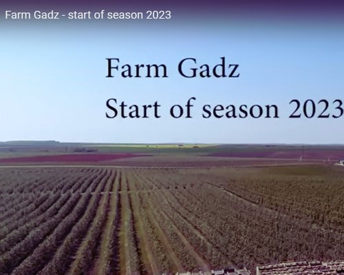From classroom to production: graduates of Uman National University of Horticulture implement innovations at Gadz Farm