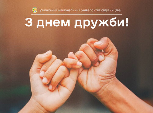 Друзі – світлий промінь життя