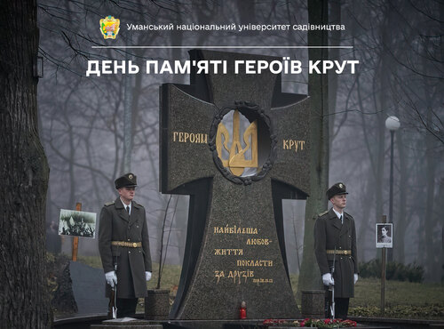 Світла пам'ять Героям Крут
