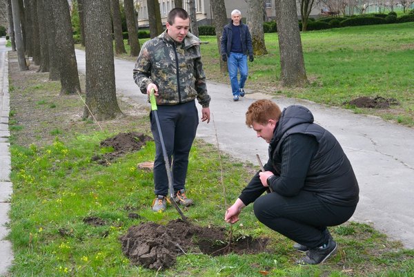 В Уманському національному університеті садівництва оновили горіхову алею