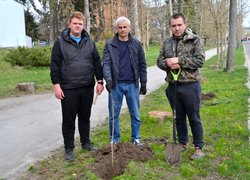 В Уманському національному університеті садівництва оновили горіхову алею