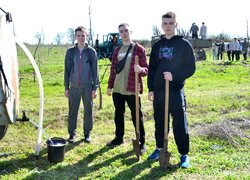 Традиції Уманського НУС — студенти висадили яблуні до університетського саду