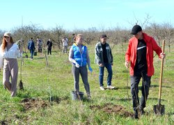 Традиції Уманського НУС — студенти висадили яблуні до університетського саду