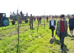 Традиції Уманського НУС — студенти висадили яблуні до університетського саду