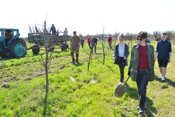 Традиції Уманського НУС — студенти висадили яблуні до університетського саду