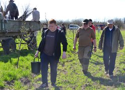 Традиції Уманського НУС — студенти висадили яблуні до університетського саду