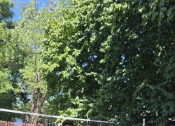На спортмайданчику УНУ завершився турнір із пляжного волейболу