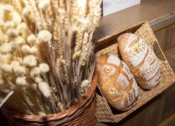 Уманський національний університет приймає Третій національний форум «Хлібна індустрія – 2025»