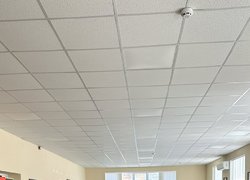 «OCC SOS!» і студентське самоврядування УНУ: знання, команда, натхнення