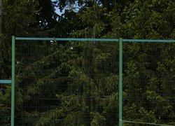 В Уманському національному університеті відбувся традиційний Кубок Ректора з мініфутболу