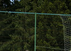 В Уманському національному університеті відбувся традиційний Кубок Ректора з мініфутболу