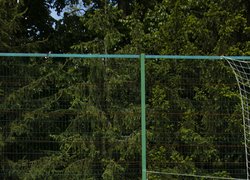 В Уманському національному університеті відбувся традиційний Кубок Ректора з мініфутболу