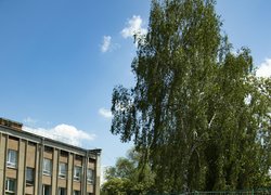 В Уманському національному університеті відбувся традиційний Кубок Ректора з мініфутболу