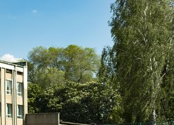 В Уманському національному університеті відбувся традиційний Кубок Ректора з мініфутболу