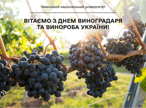Вітаємо з Днем виноградаря та винороба України!