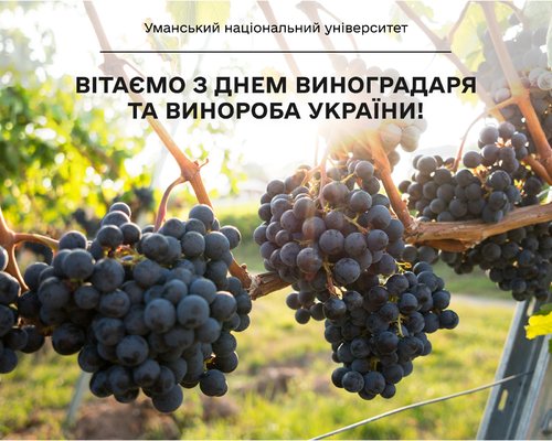 Вітаємо з Днем виноградаря та винороба України!