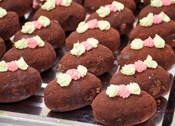 Ярмарок «Разом до перемоги» – добра традиція інженерно-технологічного факультету УНУ