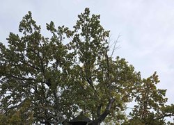 Керівництво УНУ відвідало коледжі: нові кроки у співпраці та практичній підготовці студентів