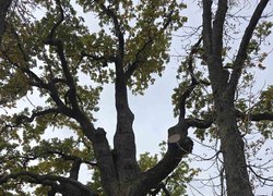 Керівництво УНУ відвідало коледжі: нові кроки у співпраці та практичній підготовці студентів