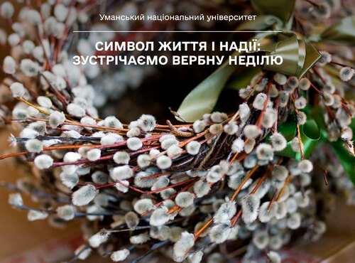 Символ життя і надії: зустрічаємо Вербну неділю