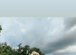 Фотоконкурс "Гарна, як писанка"