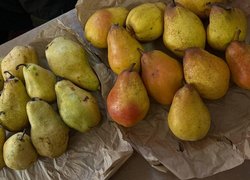 Фотоконкурс "Гарна, як писанка"