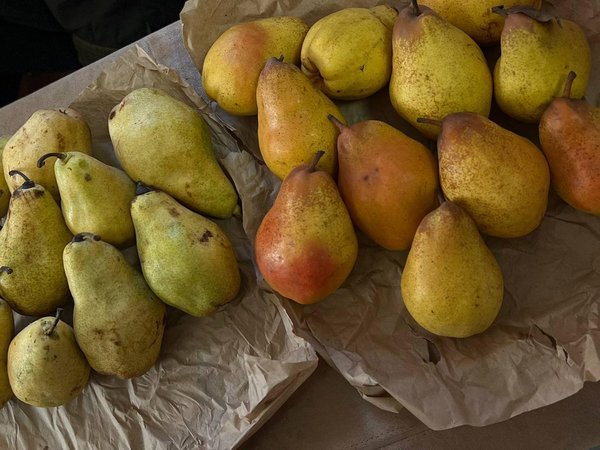 Фотоконкурс "Гарна, як писанка"