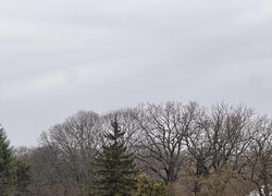 Фотоконкурс "Гарна, як писанка"