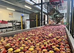 Навчаючись в УНУ, працюєш вже сьогодні: Дуальна освіта відкриває можливості