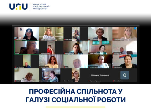 Професійна спільнота у галузі соціальної роботи