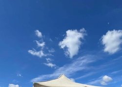 Уманський національний університет на Х Міжнародному форумі аграрних інновацій «Нове Зернятко – 2026»