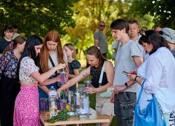 Lavender Fest UNU: від мрії до дійсності серед лавандового аромату