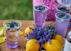 Lavender Fest UNU: від мрії до дійсності серед лавандового аромату