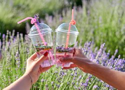 Lavender Fest UNU: від мрії до дійсності серед лавандового аромату