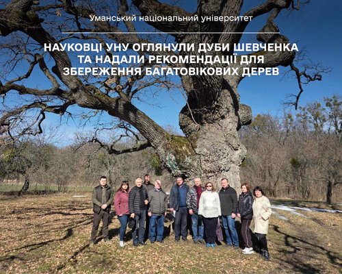 Науковці УНУ оглянули дуби Шевченка та надали рекомендації для збереження багатовікових дерев