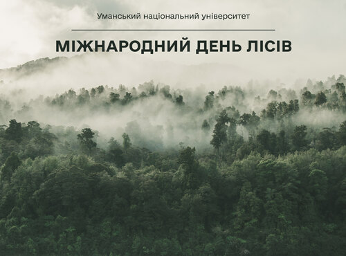 Міжнародний день лісів: традиції, освіта та відповідальність за майбутнє