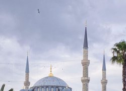 «Хлібодари» УНУ підкорюють Стамбул: українська пісня звучала на міжнародній сцені