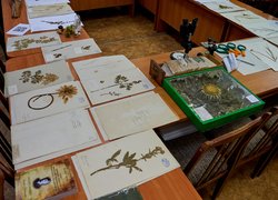 В УНУ презентували сучасний сканер для оцифрування унікальних наукових фондів