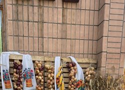 Творчі колективи УНУ стали учасниками мистецької події «ART-TOLOKA. Open Air»